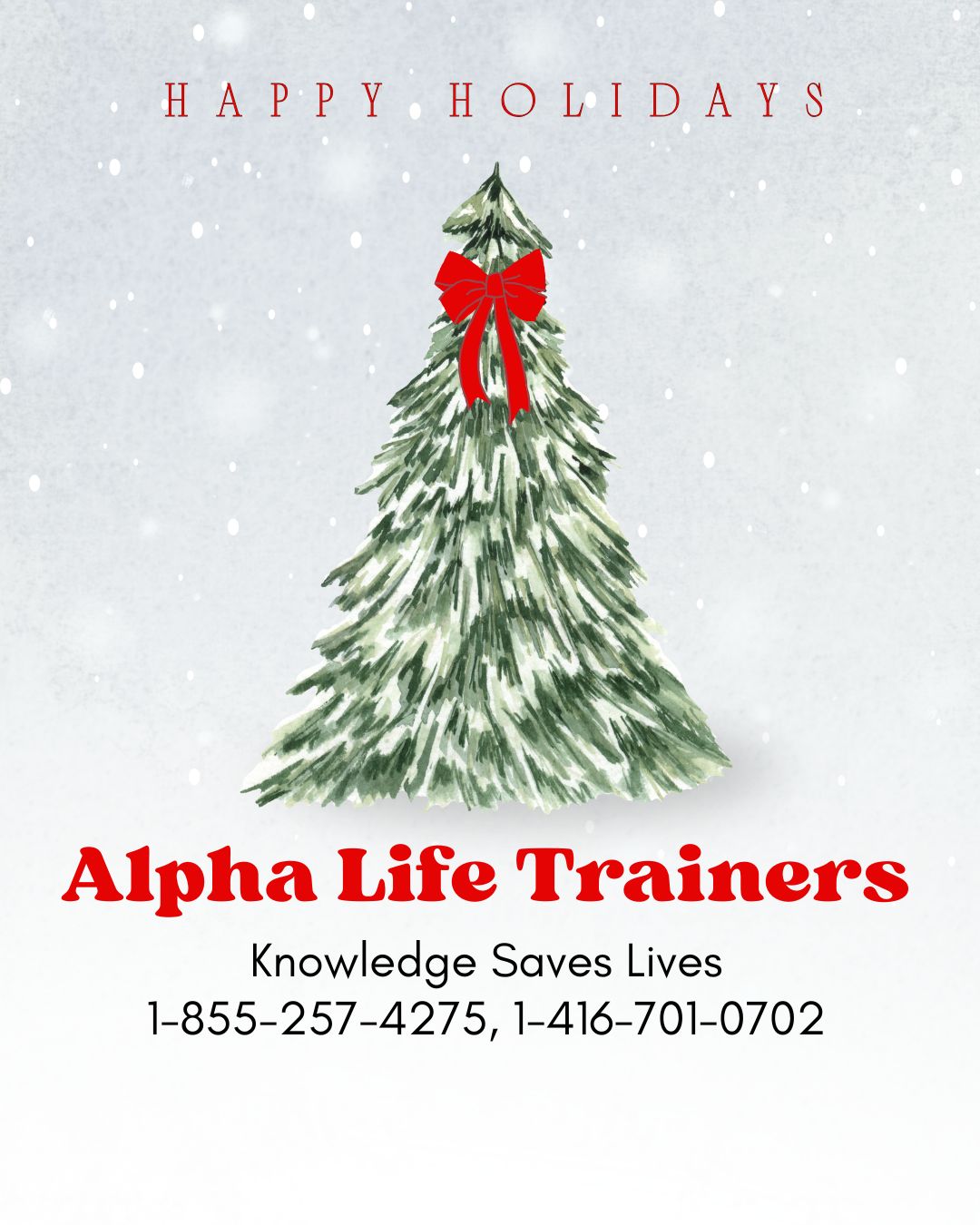 Merry Christmas from Alpha Life Trainers