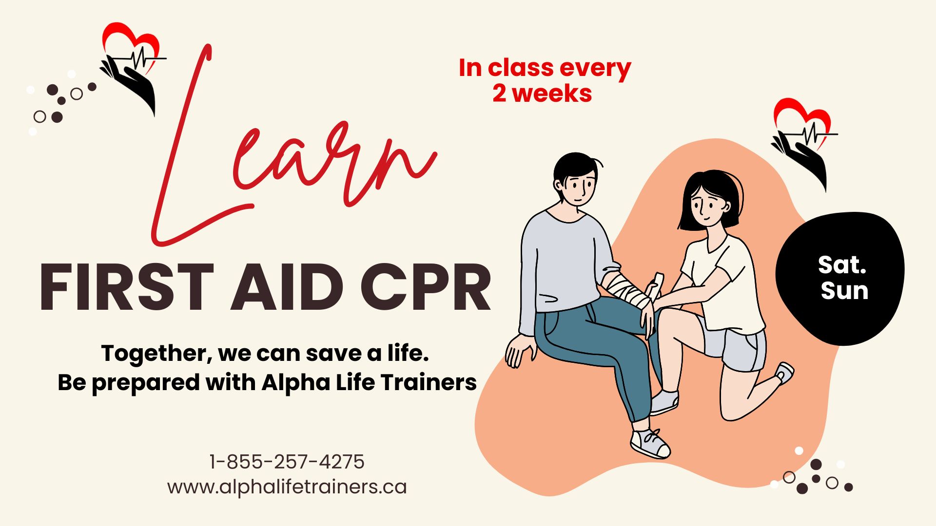 Intermediate/ Standard First Aid & CPR
